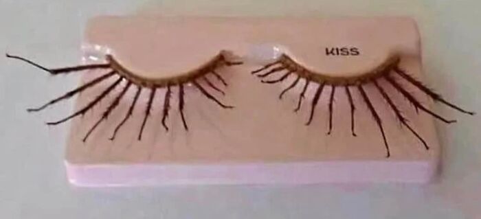 Did They Use Insect Legs???