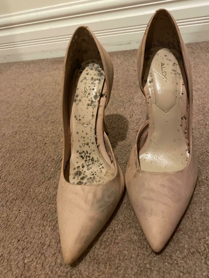 Mi madre tomó prestados mis zapatos (casi nuevos) hace meses y los olvidó en su coche. Hoy los encontró así. Por esto odio prestar cosas a la gente 