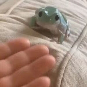 bothwelloliviapstudent avatar