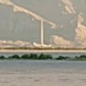 shadowblazeblazeww427 avatar