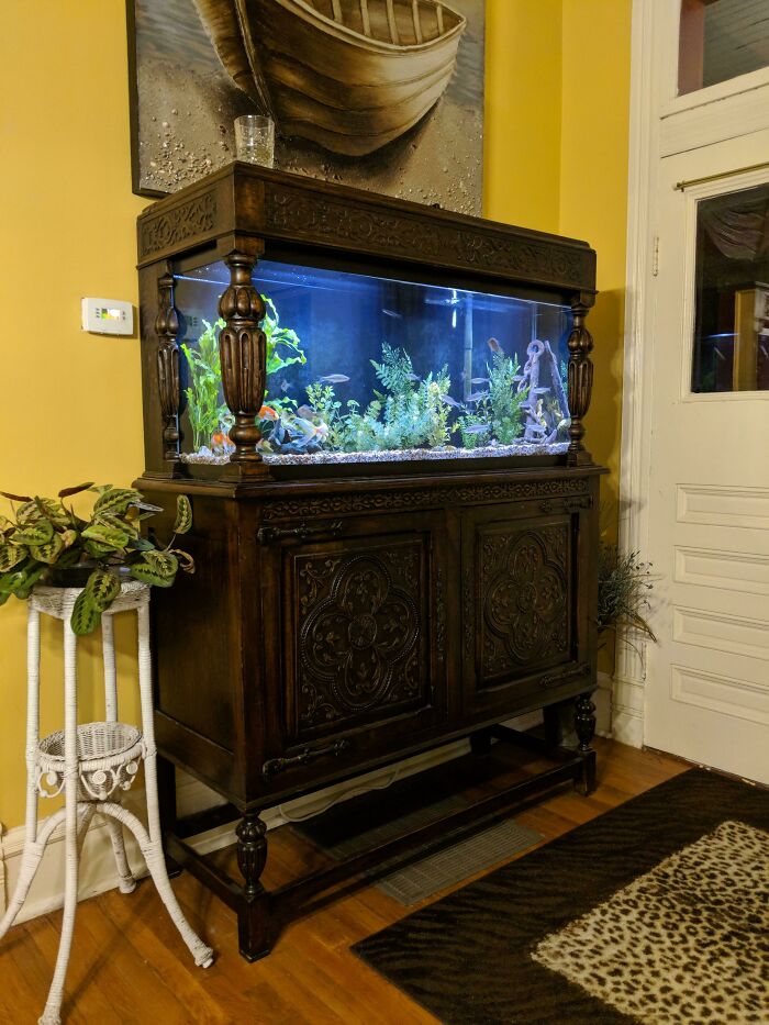 Aquarium made out of cabinet 