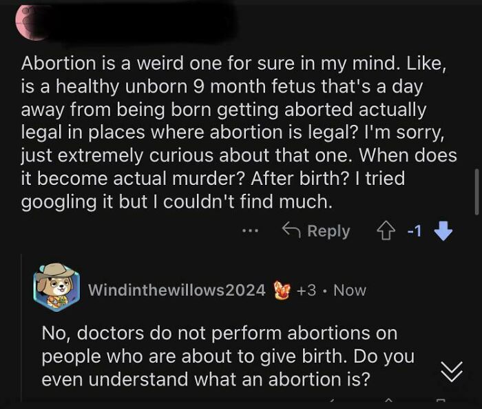 Not How Abortions Work