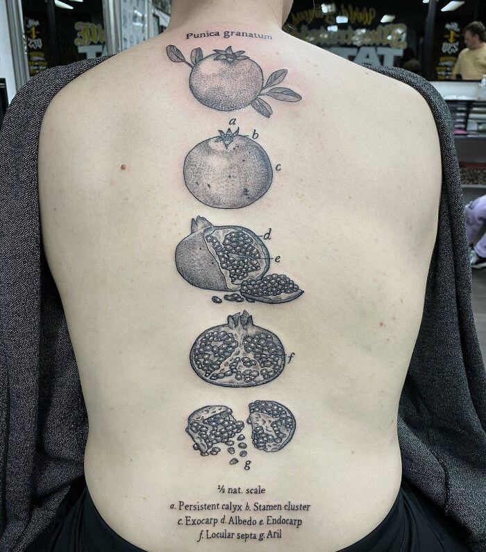 Large realistic pomegranates tattoo on spine