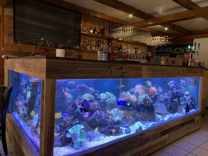 Aquarium inside of a bar 
