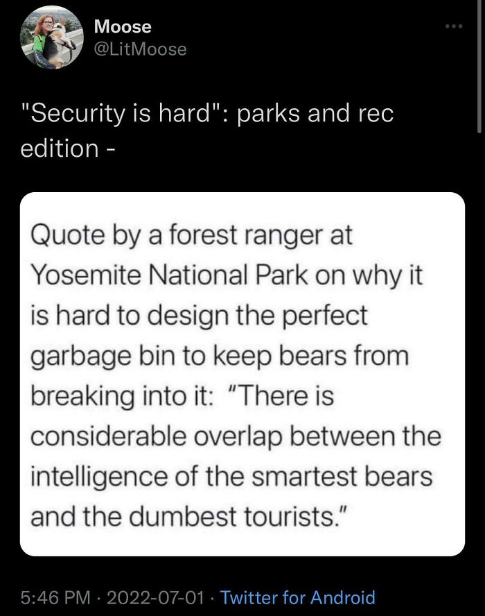 Smarter Than Your Average Bear