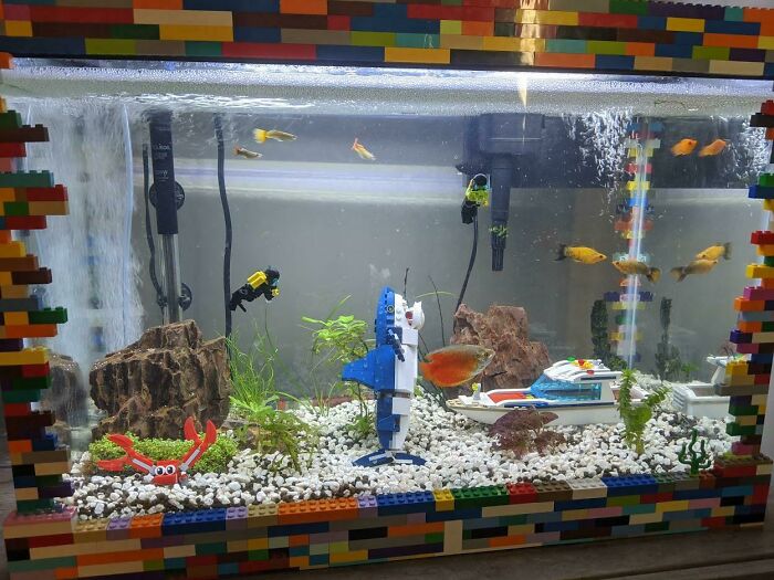 104 Stunning Aquarium Ideas, As Shared By People Online