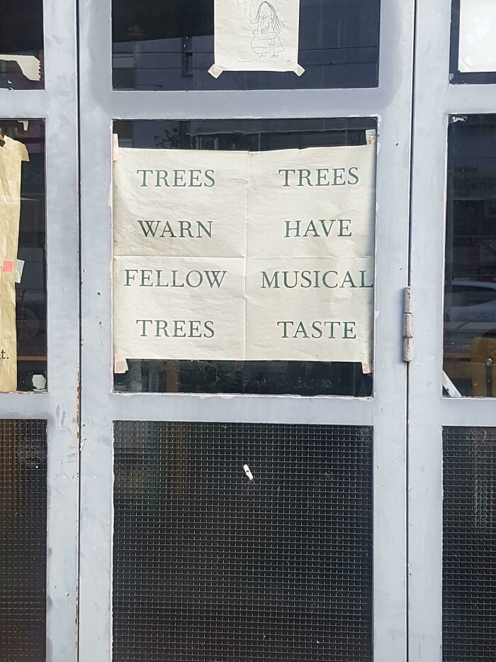Trees Trees Warn Have Fellow Musical Trees Taste