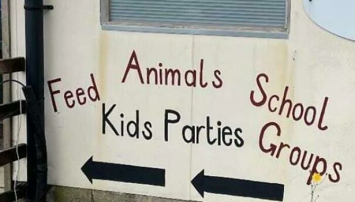 Feed Animals School Kids Parties Groups
