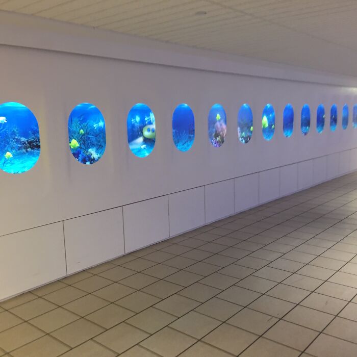 Mi aeropuerto local ha añadido una nueva pantalla que imita el interior de un avión. Han elegido una escena submarina como fondo. Qué tranquilizador