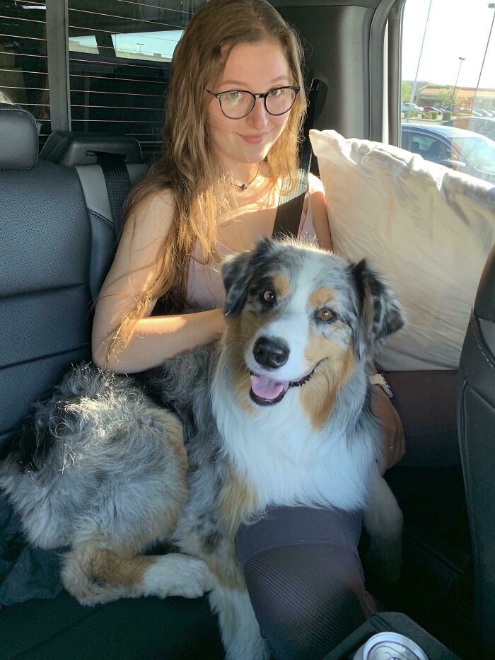 My Pup Sat On My Lap For The Entire 6-Hour Drive Home After Not Seeing Me Since January