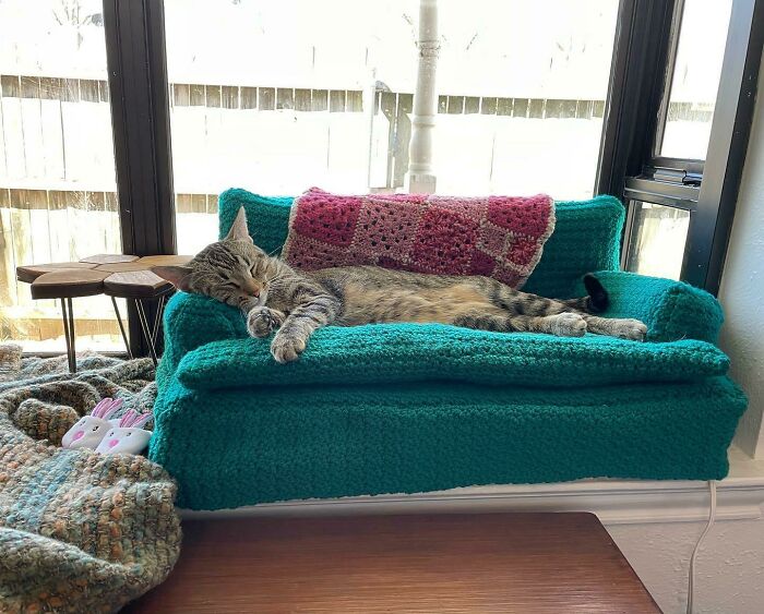 He hecho este sofá calefactable para gatos a ganchillo y estoy trabajando en el segundo para tener un conjunto a juego. ¡Hola! Os presento a Ripley :)