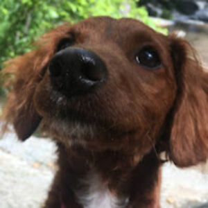 hannahmason_2 avatar