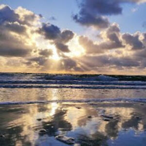 mansouryaacoubi avatar