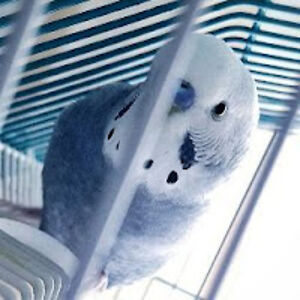 abigailhanson_1 avatar