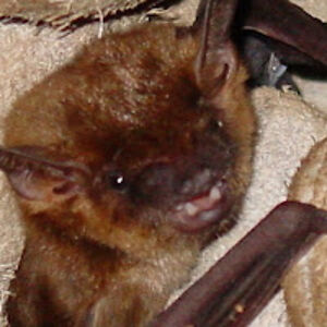 franciscocontreras avatar