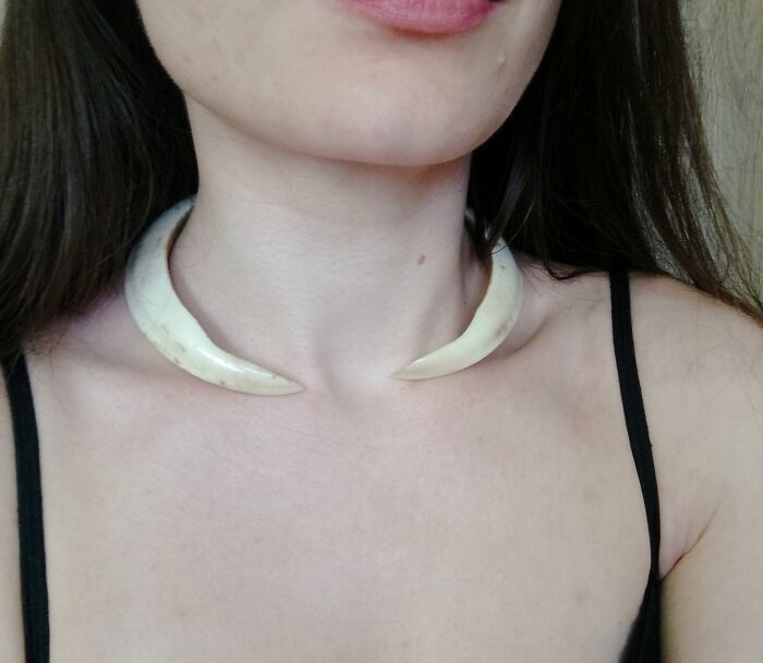 A Necklace Made Out Of Wild Boar's Teeth