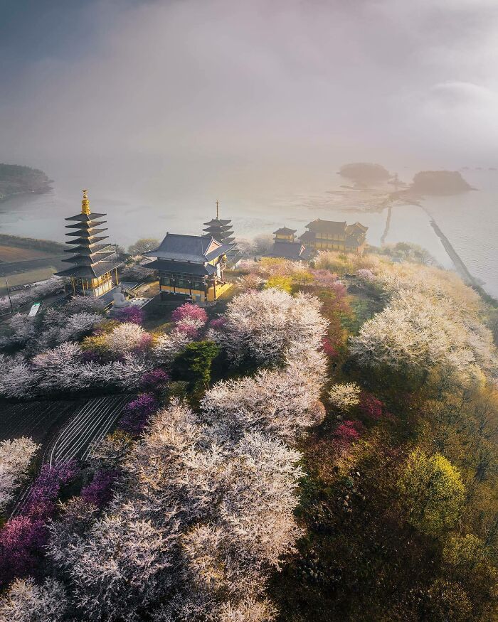 Templo Anmyeonam cubierto de niebla marina en la isla de Anmyeon, Corea del sur