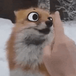 samanthaschmidt avatar