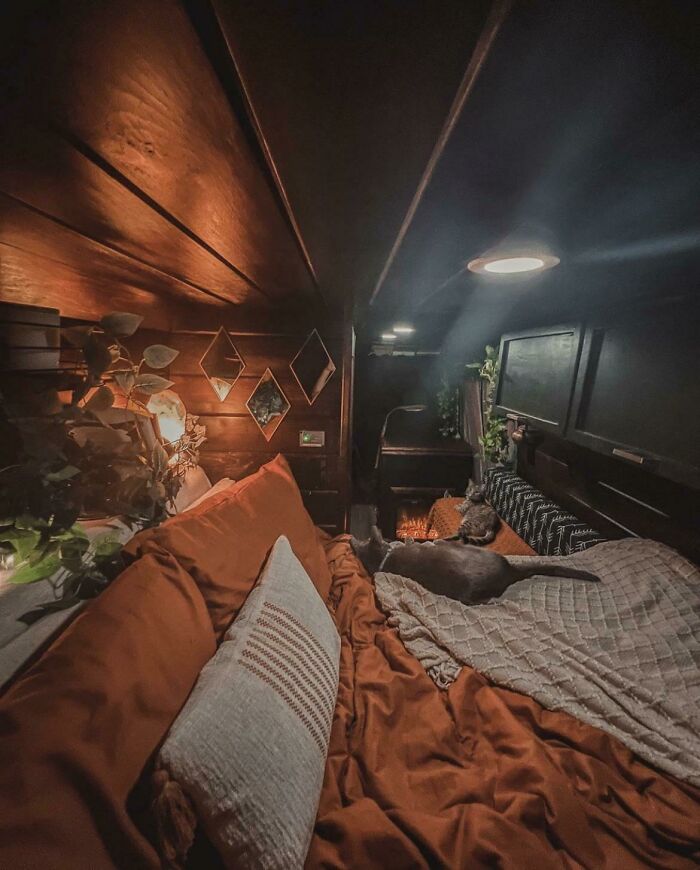 Cozy tiny house interior with a dog and cat napping on a bed surrounded by warm lighting and rustic decor.