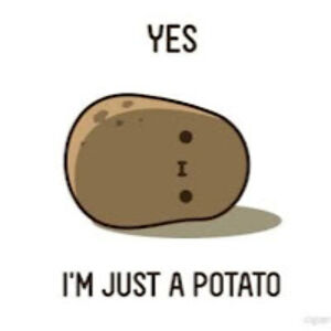 mckinleypurvis avatar