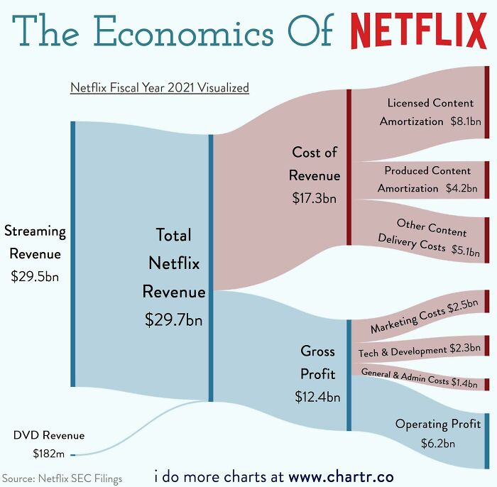 Netflix's 2021 Fiscal Year, Visualized
