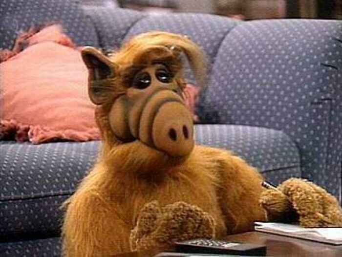 Scene from "Alf" movie