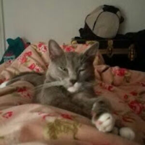 michiamonessuno avatar