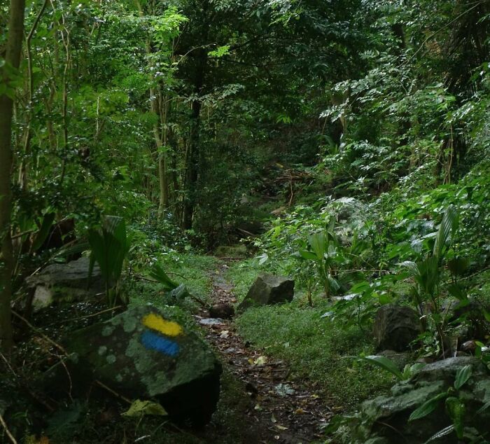 Photo of Waitukubuli National Trail