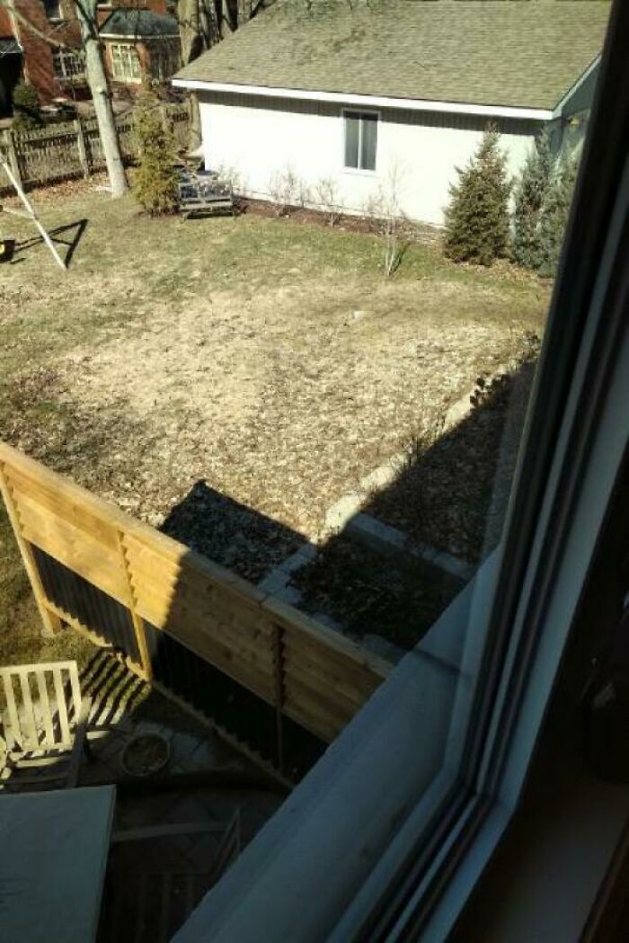 My Parents Neighbour’s Yard. That’s Not Dirt, It’s 8 Months Of Dog Poop Built Up. Behind It Is Their Kid’s Swing Set