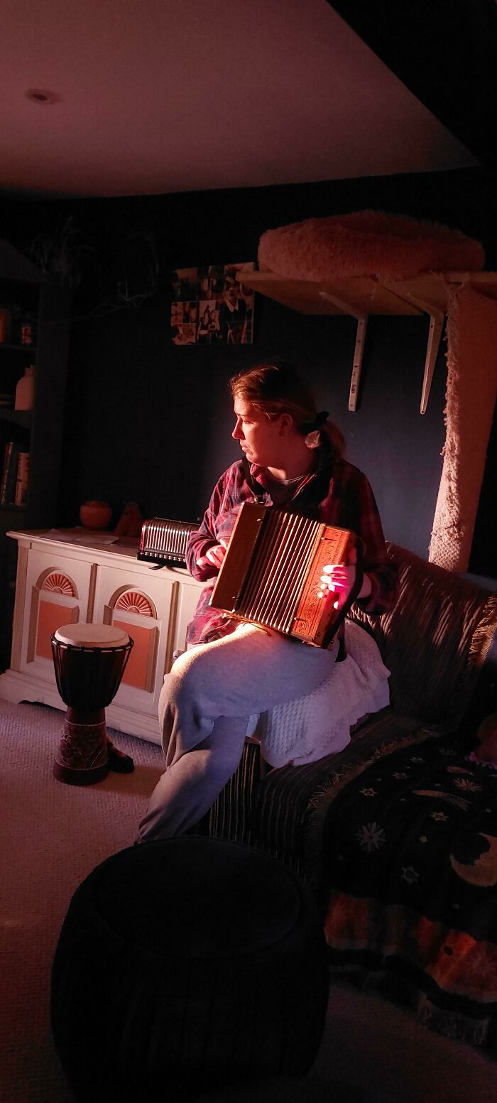 The Melodeon Player