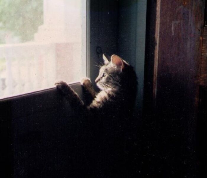 The First Time She (Zosia) Was Able To See The Outside. I Had Her For Nearly 18 Years