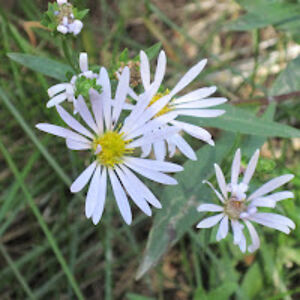 donnakatsuranis avatar