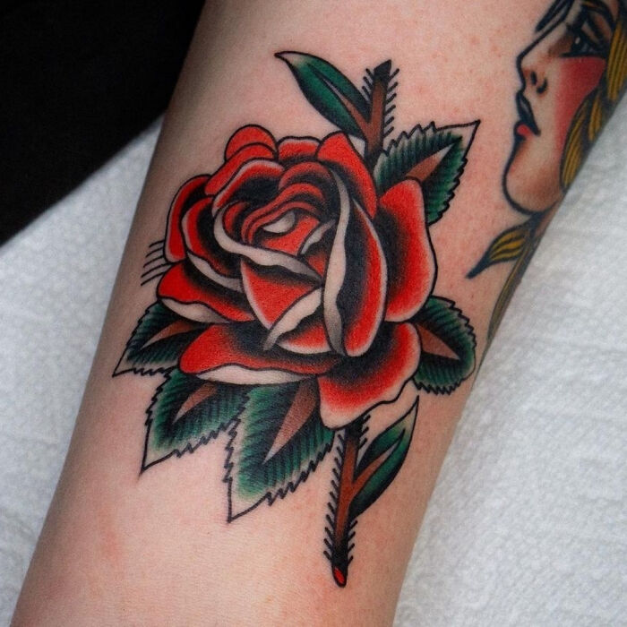 Red rose in American traditional tattoo style on forearm, with bold black outlines and green leaves.