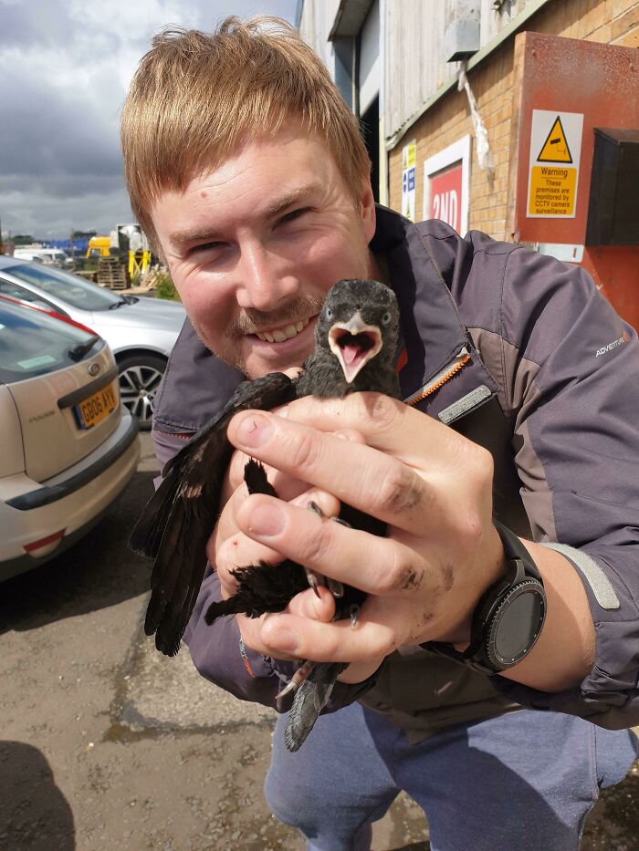 Person holding baby crow and smiling