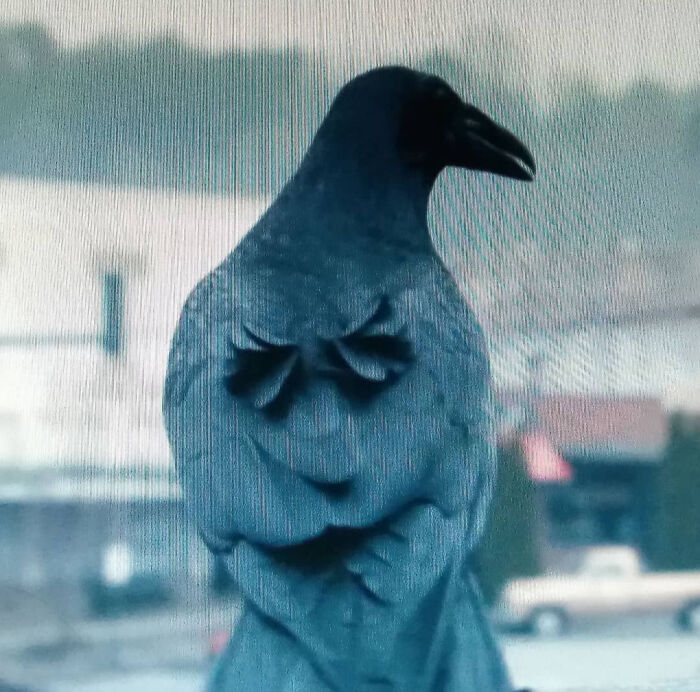 Crow with face shaped back