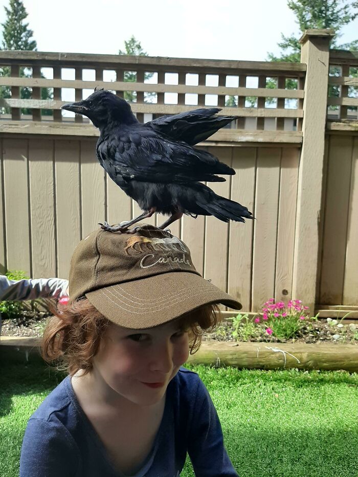 Kid with crow on head