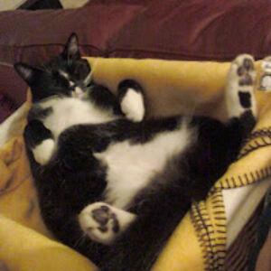 angelaalexander_1 avatar