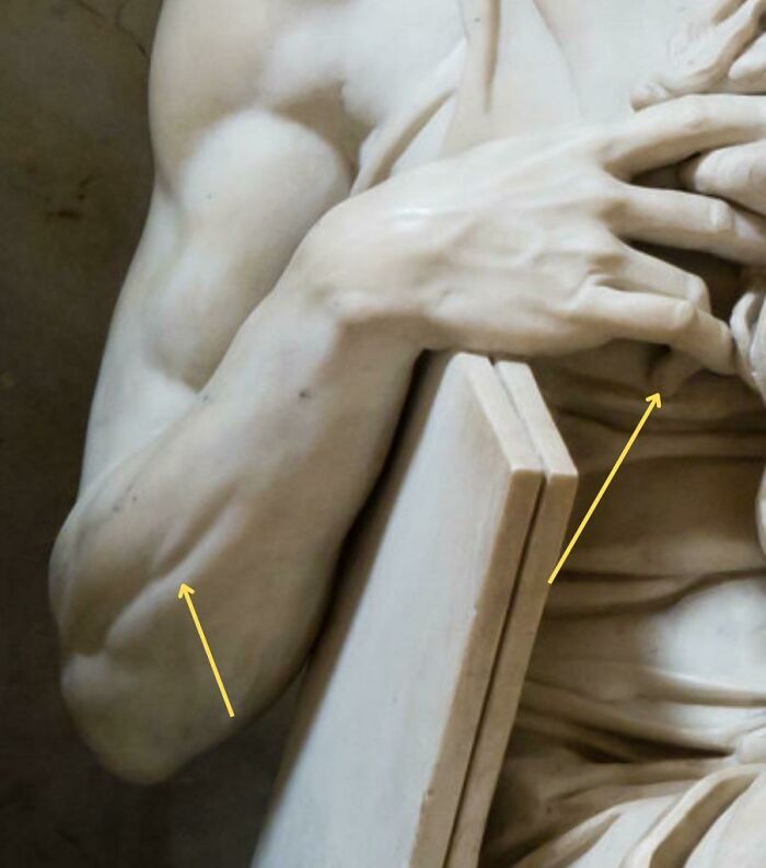 There’s A Very Tiny Muscle In The Forearms That Contracts Only When Lifting The Pinky Finger. Michelangelo’s Moses Sculpture Is Lifting The Pinky, Therefore That Muscle Is Contracted. Incredible Attention To Detail