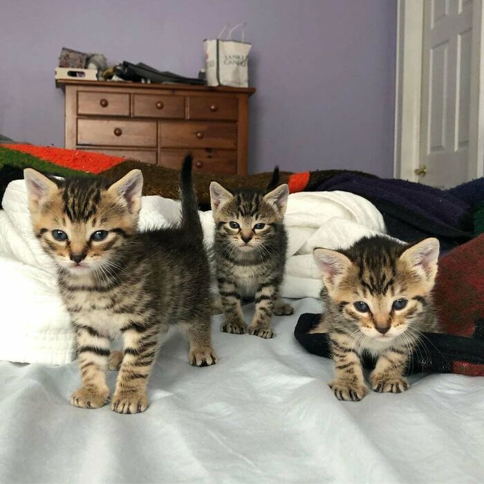 The New Fosters Always Look So Angry