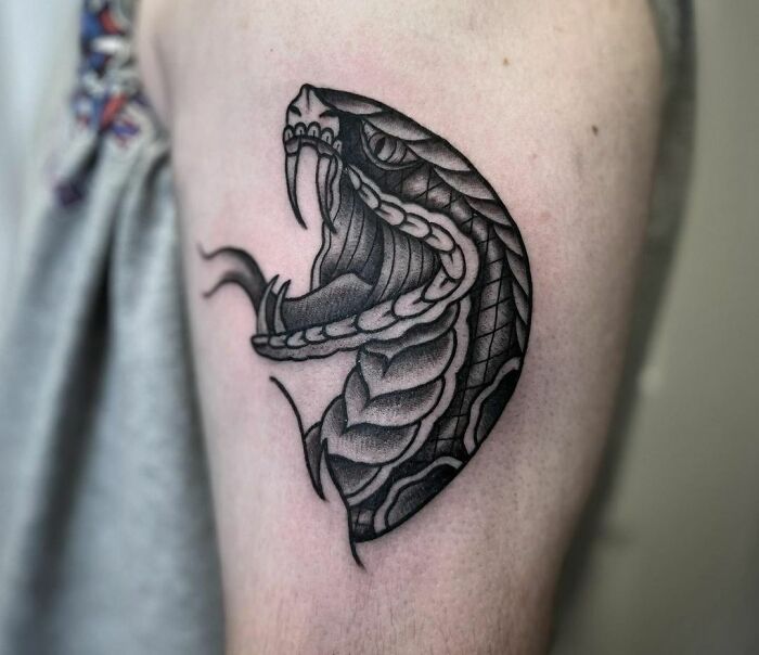 American traditional tattoo of a detailed snake design on an arm.