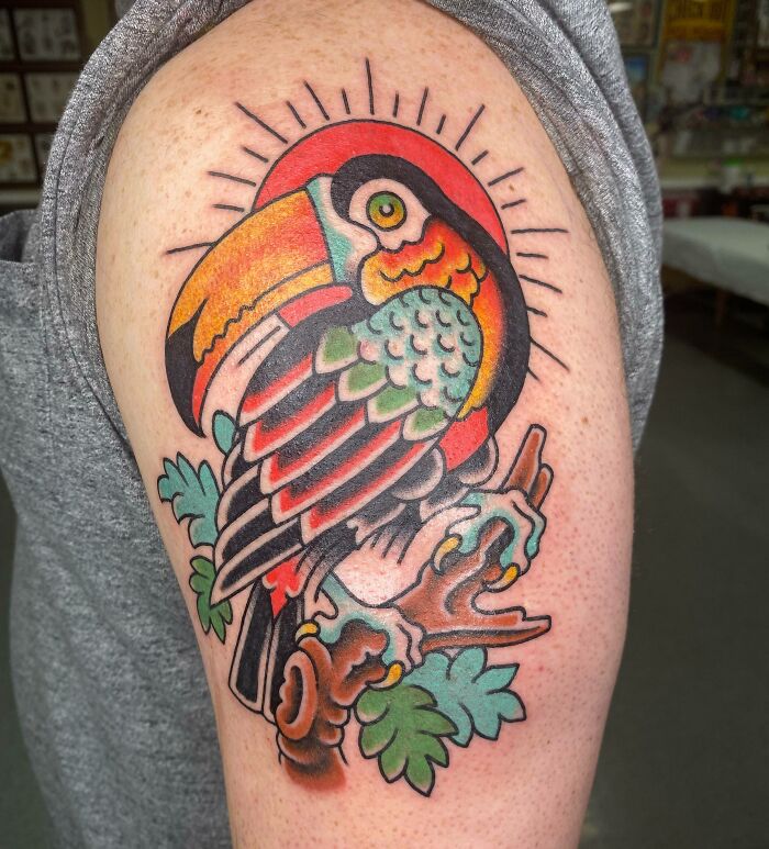 American traditional Toucan arm tattoo