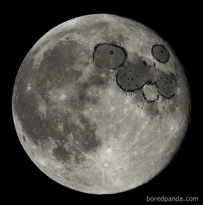 Nadie habla de la teoría conspirativa de que la Luna es en realidad una foca llena de helio