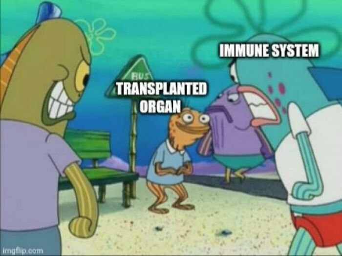 Tbf Immune System Is Just Trying To Do Its Job
