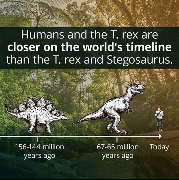 Fun Fact, We Often Overlook The Length Of Time That Dinosaurs Existed