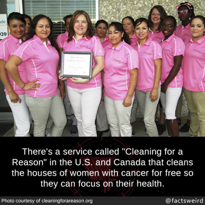 Fun Fact: There's A Service Called "Cleaning For A Reason" In The U.s And Canada That Cleans The Houses Of Women With Cancer For Free So They Can Focus On Their Health