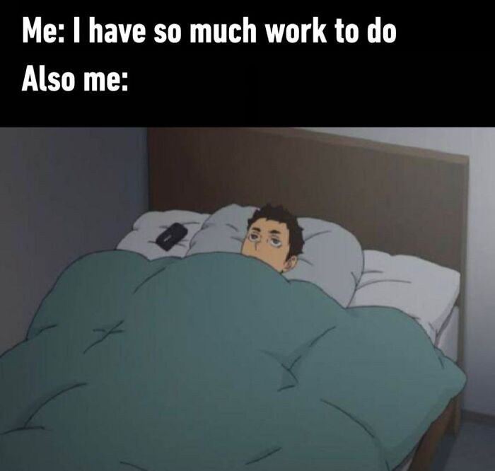 Funny-College-Memes-Humor-State-University