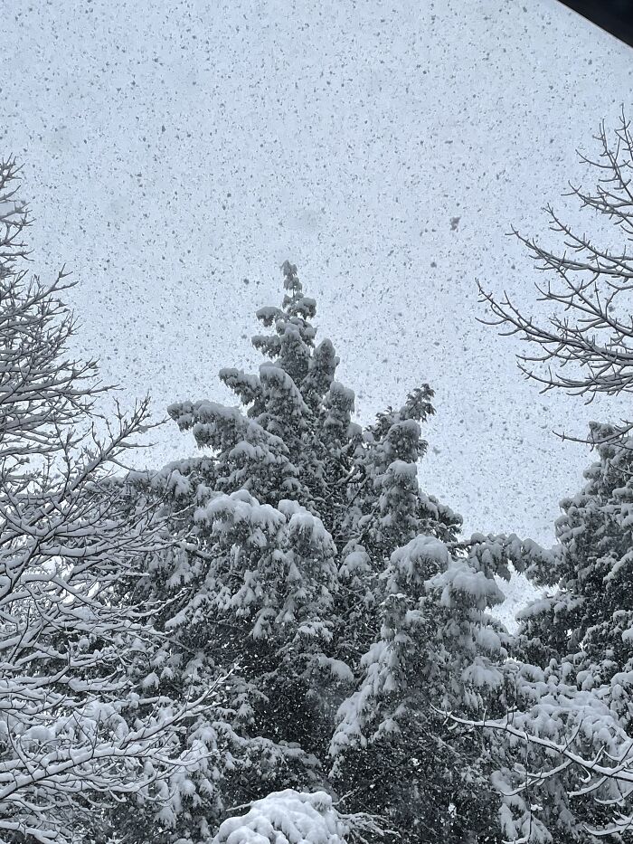 Here Is A Small Collection Of The Photographs I Took