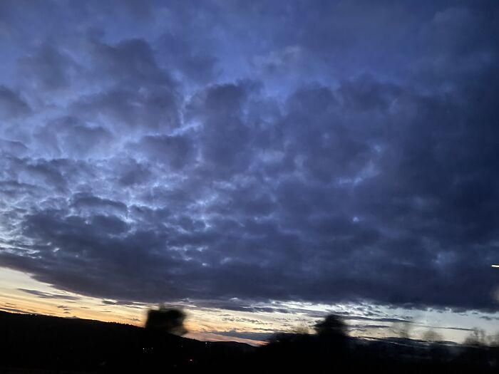 Here Is A Small Collection Of The Photographs I Took