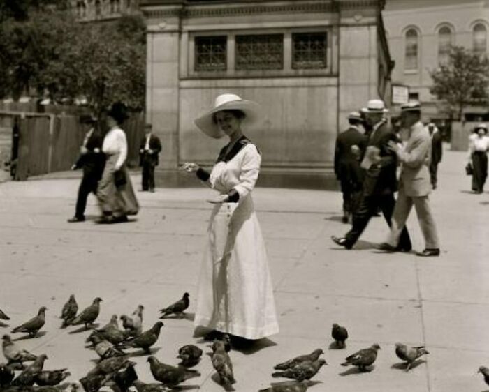Boston Common 1900