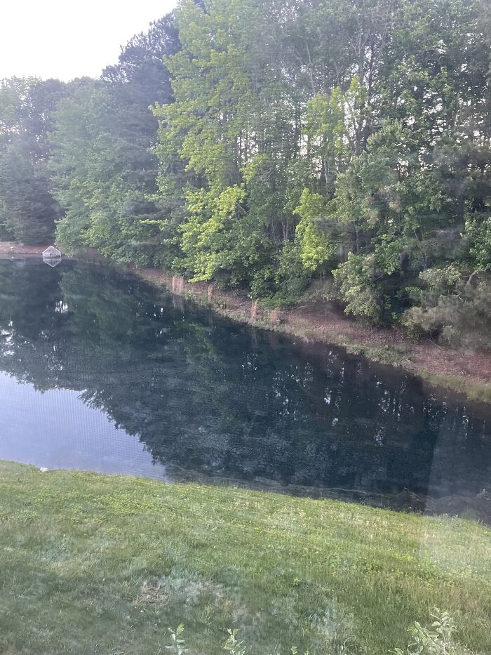 Sorry For The Dirty Window!!